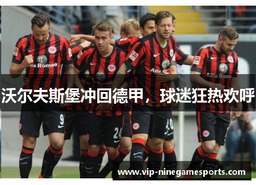 沃尔夫斯堡冲回德甲,球迷狂热欢呼 沃尔夫斯堡冲回德甲,球迷狂热欢呼